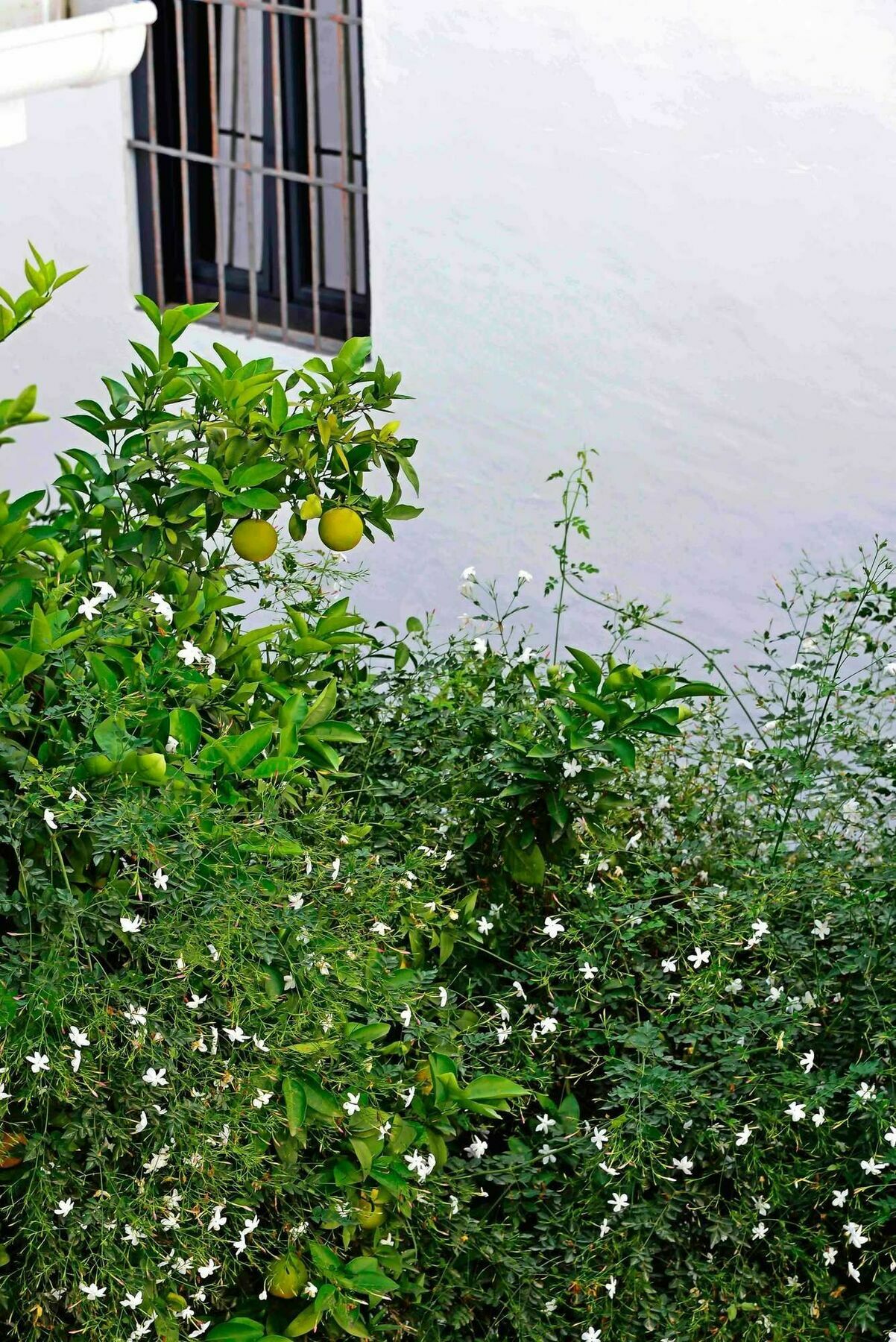 Selecta Apartments Los Venerables Sevilla Kültér fotó